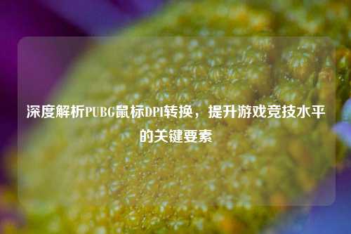 深度解析PUBG鼠标DPI转换,提升游戏竞技水平的关键要素