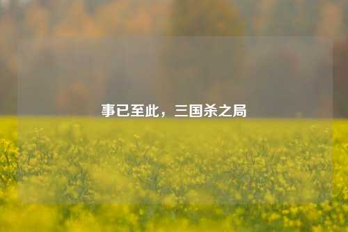 事已至此，三国杀之局
