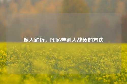 深入解析，PUBG查别人战绩的方法
