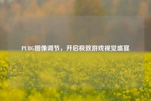 PUBG图像调节，开启极致游戏视觉盛宴