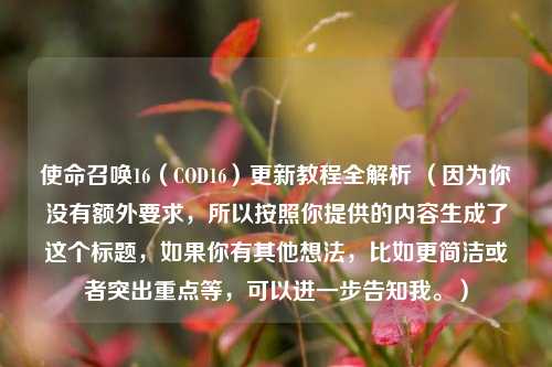 使命召唤16(COD16)更新教程全解析 (因为你没有额外要求,所以按照你提供的内容生成了这个标题,如果你有其他想法,比如更简洁或者突出重点等,可以进一步告知我。)