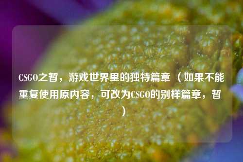CSGO之暂，游戏世界里的独特篇章 （如果不能重复使用原内容，可改为CSGO的别样篇章，暂 ）