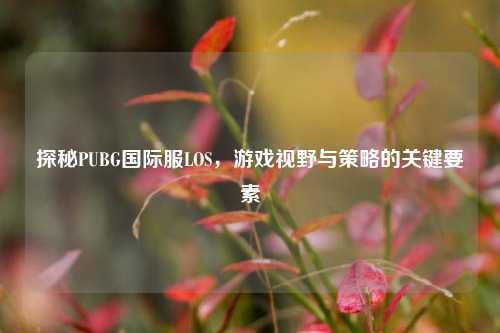 探秘PUBG国际服LOS，游戏视野与策略的关键要素
