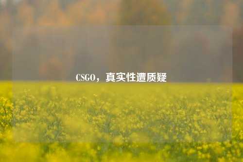 CSGO，真实性遭质疑