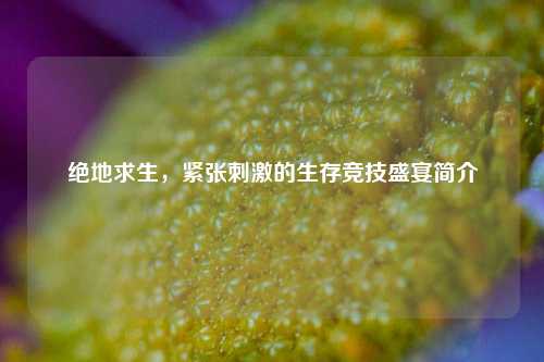 绝地求生,紧张刺激的生存竞技盛宴简介