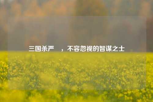 三国杀严畯,不容忽视的智谋之士