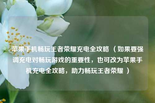 苹果手机畅玩王者荣耀充电全攻略 (如果要强调充电对畅玩游戏的重要性,也可改为苹果手机充电全攻略,助力畅玩王者荣耀 )