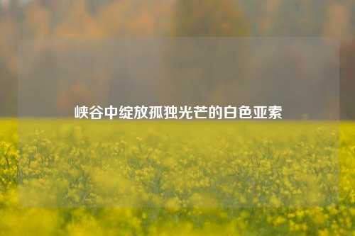 峡谷中绽放孤独光芒的白色亚索