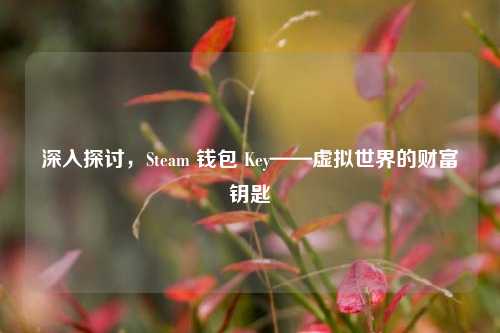 深入探讨，Steam 钱包 Key——虚拟世界的财富钥匙
