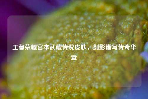 王者荣耀宫本武藏传说皮肤，剑影谱写传奇华章