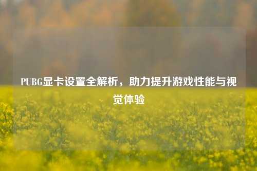 PUBG显卡设置全解析,助力提升游戏性能与视觉体验