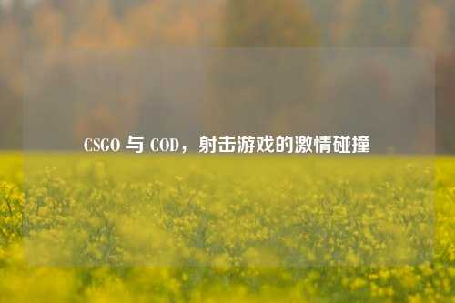 CSGO 与 COD，射击游戏的激情碰撞