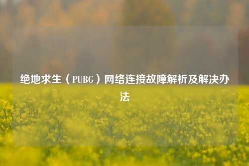 绝地求生(PUBG)网络连接故障解析及解决办法