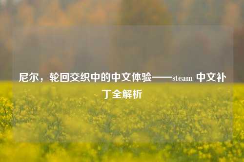 尼尔，轮回交织中的中文体验——steam 中文补丁全解析