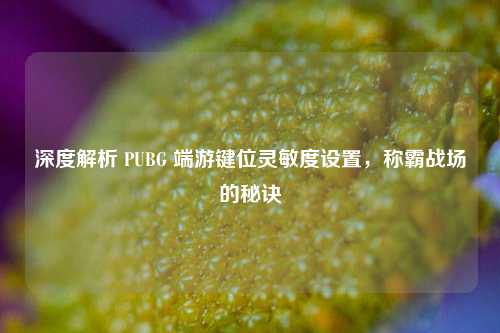 深度解析 PUBG 端游键位灵敏度设置,称霸战场的秘诀