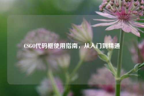CSGO代码框使用指南，从入门到精通