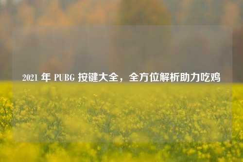 2021 年 PUBG 按键大全，全方位解析助力吃鸡