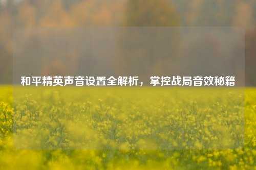 和平精英声音设置全解析,掌控战局音效秘籍