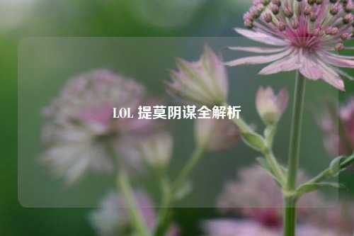 LOL 提莫阴谋全解析