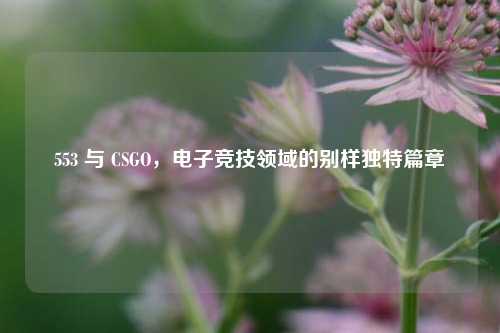 553 与 CSGO,电子竞技领域的别样独特篇章