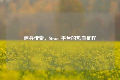 佣兵传奇，Steam 平台的热血征程