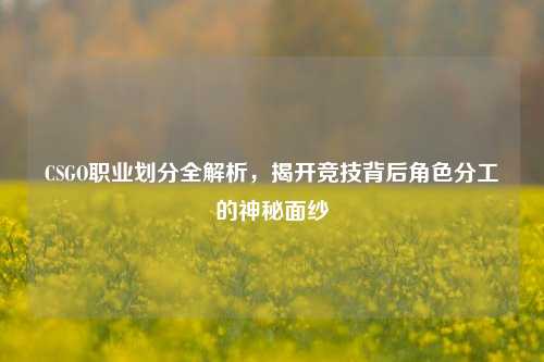 CSGO职业划分全解析,揭开竞技背后角色分工的神秘面纱