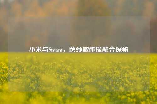 小米与Steam,跨领域碰撞融合探秘