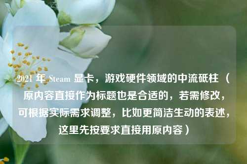 2021 年 Steam 显卡,游戏硬件领域的中流砥柱 (原内容直接作为标题也是合适的,若需修改,可根据实际需求调整,比如更简洁生动的表述,这里先按要求直接用原内容)