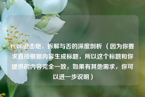 PUBG迫击炮,拆解与否的深度剖析 (因为你要求直接根据内容生成标题,所以这个标题和你提供的内容完全一致,如果有其他需求,你可以进一步说明)
