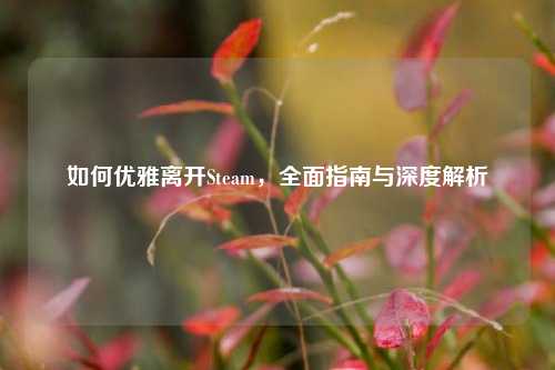 如何优雅离开Steam，全面指南与深度解析
