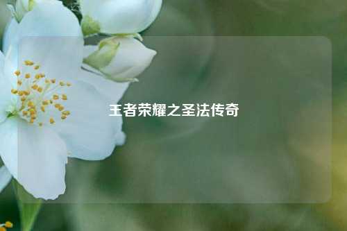 王者荣耀之圣法传奇