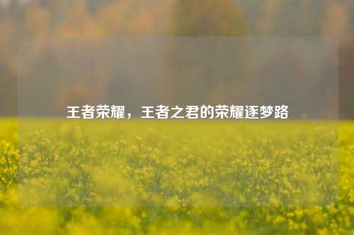王者荣耀,王者之君的荣耀逐梦路