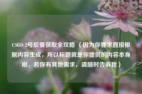 CSGO 2号胶囊获取全攻略 (因为你要求直接根据内容生成,所以标题就是你提供的内容本身啦,若你有其他需求,请随时告诉我)