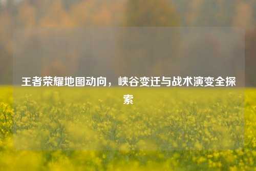 王者荣耀地图动向,峡谷变迁与战术演变全探索