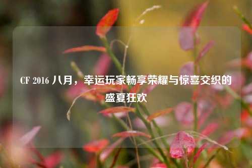 CF 2016 八月,幸运玩家畅享荣耀与惊喜交织的盛夏狂欢