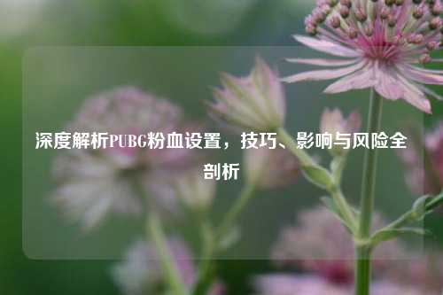 深度解析PUBG粉血设置，技巧、影响与风险全剖析