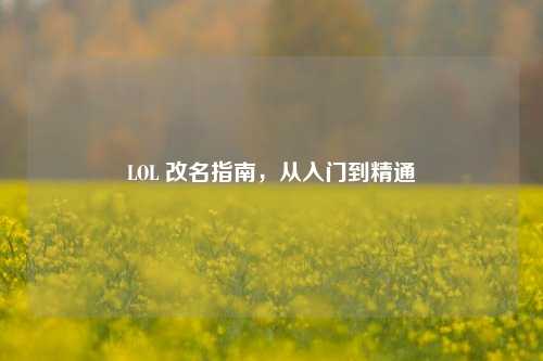LOL 改名指南，从入门到精通
