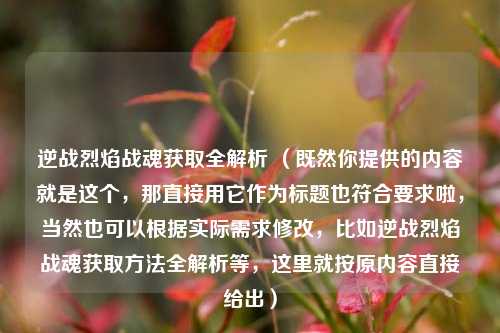逆战烈焰战魂获取全解析 (既然你提供的内容就是这个,那直接用它作为标题也符合要求啦,当然也可以根据实际需求修改,比如逆战烈焰战魂获取方法全解析等,这里就按原内容直接给出)