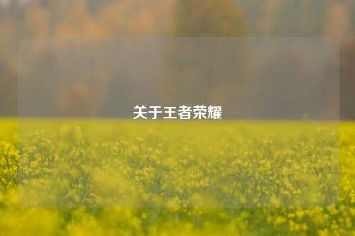 关于王者荣耀