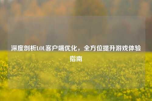 深度剖析LOL客户端优化，全方位提升游戏体验指南