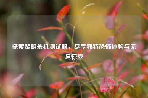 探索黎明杀机测试服，尽享独特恐怖体验与无尽惊喜