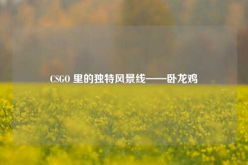 CSGO 里的独特风景线——卧龙鸡