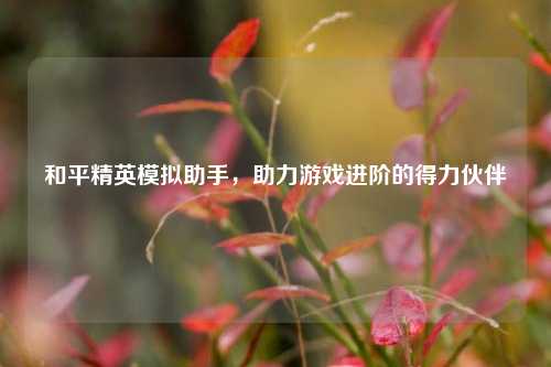 和平精英模拟助手，助力游戏进阶的得力伙伴
