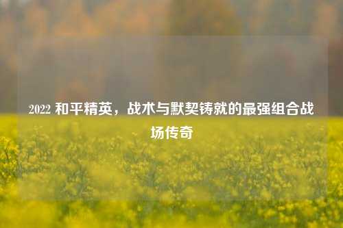 2022 和平精英，战术与默契铸就的最强组合战场传奇