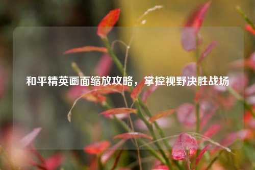 和平精英画面缩放攻略,掌控视野决胜战场