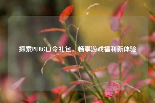 探索PUBG口令礼包，畅享游戏福利新体验