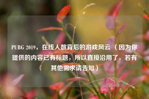 PUBG 2019，在线人数背后的游戏风云 （因为你提供的内容已有标题，所以直接沿用了，若有其他需求请告知）