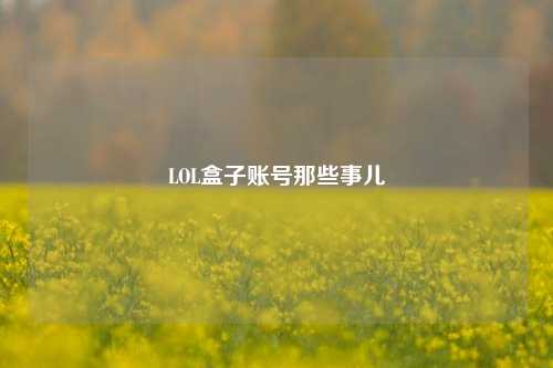 LOL盒子账号那些事儿