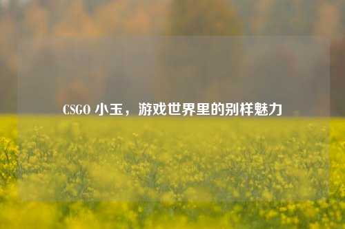CSGO 小玉,游戏世界里的别样魅力