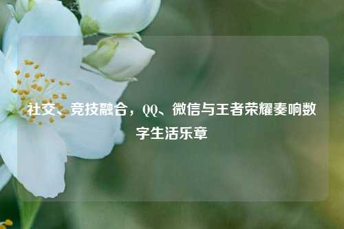 社交、竞技融合，QQ、微信与王者荣耀奏响数字生活乐章